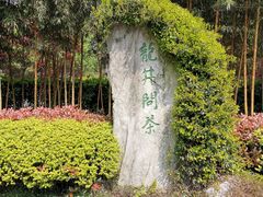 -十八棵（老龙井）御茶园(老龙井店)