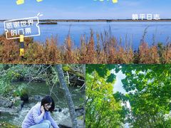 -茅兰沟国家森林公园