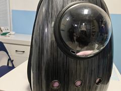 -瑞派福兴宠物医院犬猫全科·骨科·中西医结合(河东店)