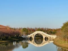 -上海海湾国家森林公园