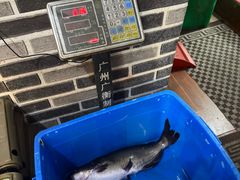 -古城苗家土菜馆(河景餐厅店)