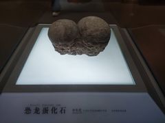 -信阳博物馆