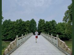 -上海海湾国家森林公园