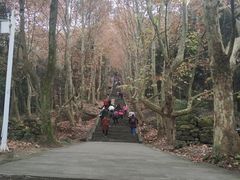 -窦圌山风景区