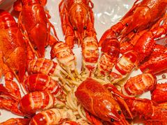 -京悦南门涮羊肉·羊蝎子火锅(田林路店)