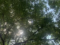 -川囧肥肠鸡·美蛙鱼锅(平高广场店)