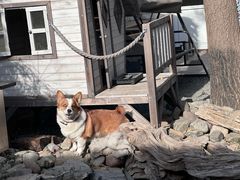 -陶野咖啡·面包披萨