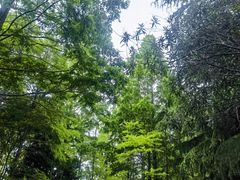 -苏州河梦清园环保主题公园