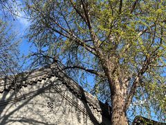 -VOYAGE COFFEE(北锣鼓巷店)