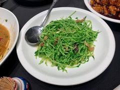 清炒豆苗-玖味(老工人西路店)