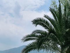 -滇池海埂公园