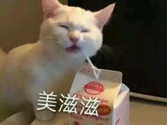 -食彩美印度特色美食餐厅·印度料理