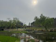 -阳澄湖半岛旅游度假区