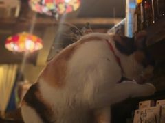 -BUND·FIVE外滩5号(天际店)