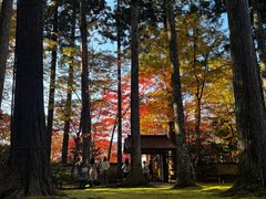 -三千院