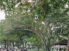 -东海岸人工湖美食村