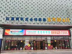 -红星美凯龙(上海沪南店)