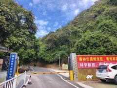 -佛山市三水区大南山森林公园
