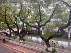 -广东胜利宾馆西关粤中餐厅