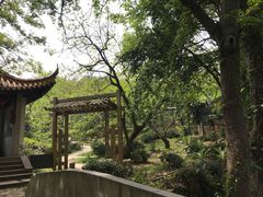 -雨花胜境