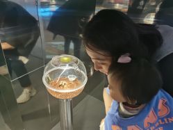 -七巧国萌宠乐园(龙湖天街店)