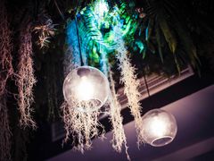 -Husky Go! 哈士奇体验馆·宠物咖啡厅狗咖