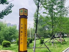 -长白岛森林公园