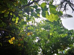 -默迹咖啡馆