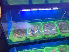 -义乌香格里拉•食尚汇MIX