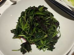 -南麓·浙里(外滩店)