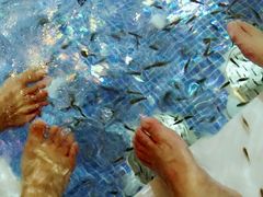 -水晶之星洗浴温泉汗蒸