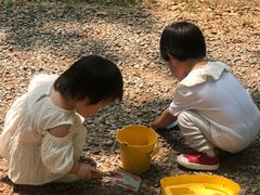-东郊湿地公园
