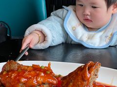 松鼠大桂鱼-绿波廊(豫园店)
