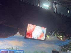 -烟台海昌鲸鲨海洋公园