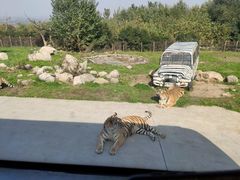 -西安秦岭野生动物园