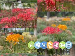 -白塘生态植物园