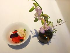 -蝶舍·MAISON PAPILLON