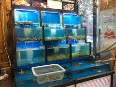 水产区-老东镇啤酒屋海鲜加工·蒸汽海鲜·海鲜烧烤(台东店)