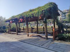 -靖西锦绣古镇景区