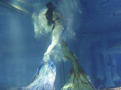 -成都浩海立方海洋公园