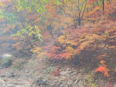 -龙道沟景区