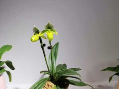 -北京植物园-展览温室