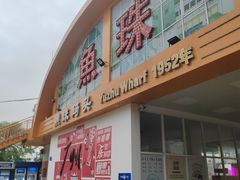 -鱼珠码头(轮渡站)