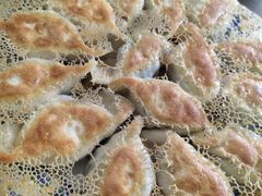 冰激凌煎饺-北方饺子王·海肠捞饭·海鲜锅(山大店)