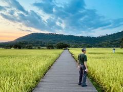 -艾米稻香小镇