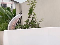 -南山植物园
