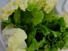 -探窝·竹笙椰子鸡(车陂店)