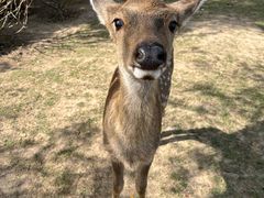 -野鸭湖国家湿地公园