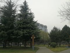 -唐城墙遗址公园