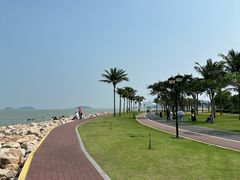 -野狸岛